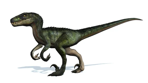 Dinosaurio Velociraptor Aislado Sobre Fondo Blanco — Foto de Stock