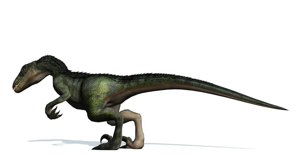 Velociraptor Dinosaurus Geïsoleerd Witte Achtergrond — Stockfoto