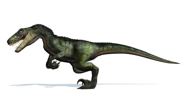 Швидкісний Динозавр Ізольований Білому Тлі — стокове фото
