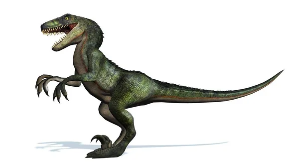 Dinosauro Velociraptor Isolato Sfondo Bianco — Foto Stock