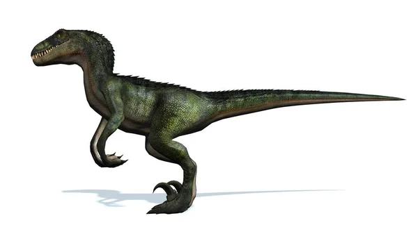 ヴェロキラプトル恐竜 白地に孤立 — ストック写真
