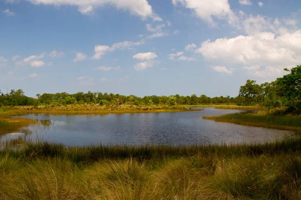 Everglades National Park Florida Wilderness — Stock fotografie