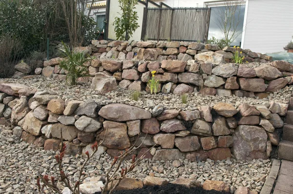 Alte Steinmauer Mit Vielen Pflanzen — Stockfoto