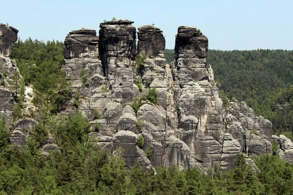 Σχηματισμός Πετρωμάτων Δάσος Στην Elbsandsteingebirge Saxon Switzerland — Φωτογραφία Αρχείου