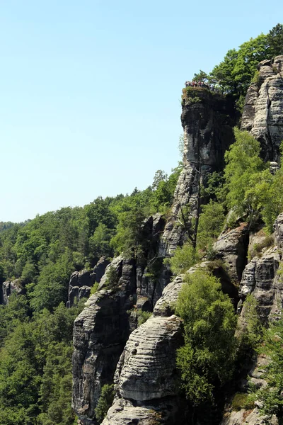 Muro Roca Con Bosque Elbsandsteingebirge Saxon Switzerland — Foto de Stock