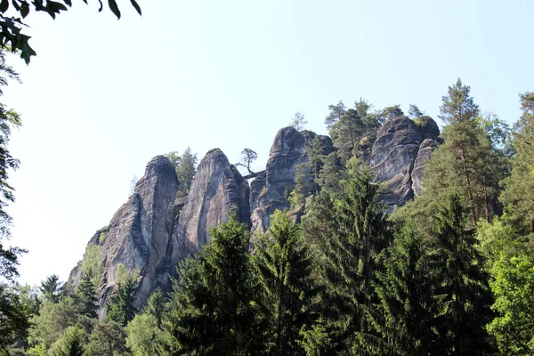 Formação Rochosa Com Floresta Nas Montanhas Elba Sandstone Saxônia Suíça — Fotografia de Stock