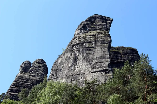 エルBsandsteingebirge Saxon Switzerlandの木のある岩は — ストック写真
