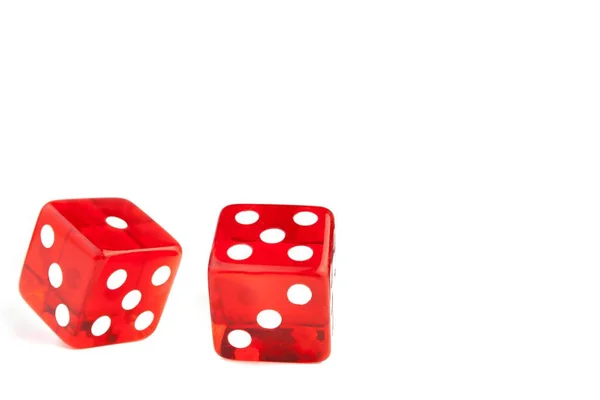 Red Dice White Background Space Text — Stock Photo, Image