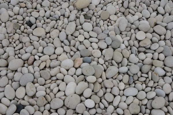 Strandstenar Naturstenar — Stockfoto