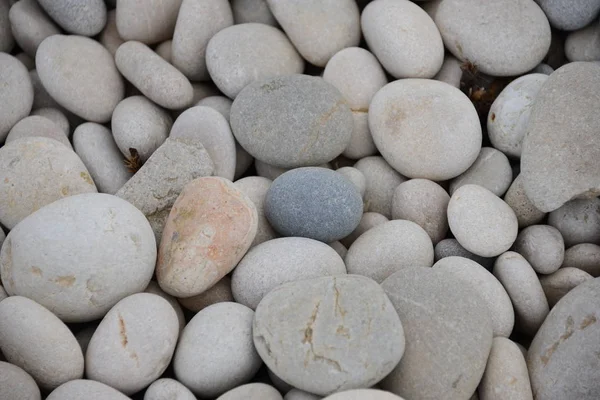 Пляжные Камни Скалы Природы — стоковое фото