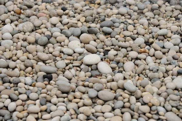 海滩石 自然石 — 图库照片