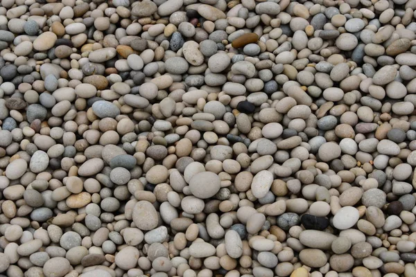 Strandstenar Naturstenar — Stockfoto