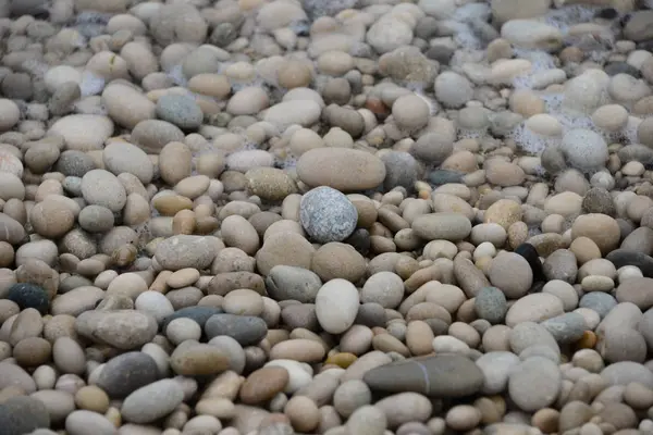 Beach Stones Nature Rocks — Stock Photo, Image
