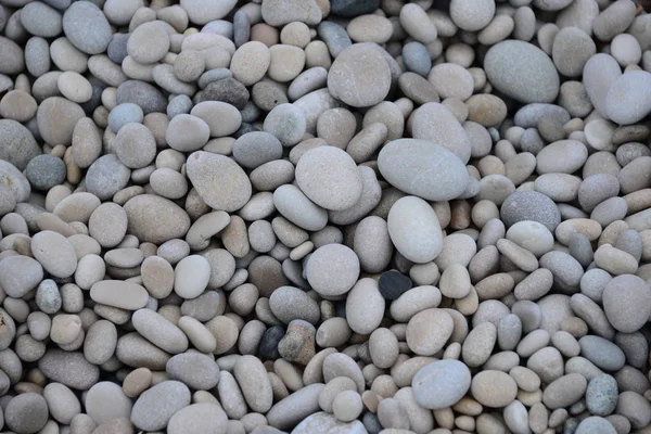 ビーチストーン自然石 — ストック写真