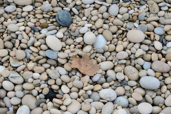 Pietre Spiaggia Rocce Naturali — Foto Stock