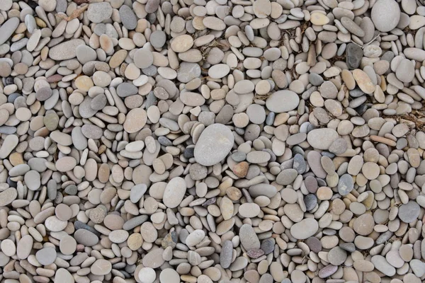 Beach Stones Nature Rocks — Stock Photo, Image