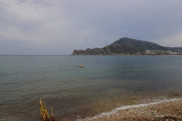 Γλάροι Της Μεσογείου Ισπανία — Φωτογραφία Αρχείου