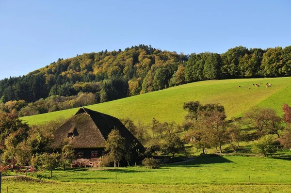 Picturesque View Countryside Scenery — Stock Photo, Image