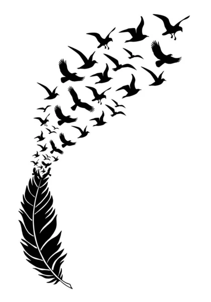 Federn Mit Frei Fliegenden Vögeln Vektorillustration Für Eine Wandtätowierung — Stockfoto