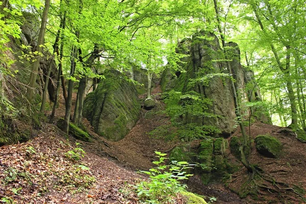 Skalní Formace Přírodní Rezervaci Wartburg Hohesonne — Stock fotografie