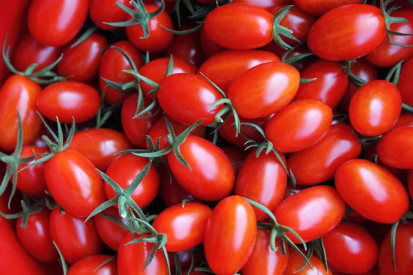 Röda Tomater Bakgrund Grupp Tomater — Stockfoto
