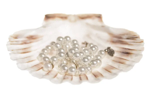 Perlenkette Auf Einer Großen Schale — Stockfoto