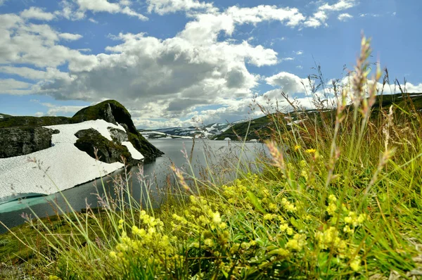 ノルウェーのソグネフィヨルドとヴィクの間の高原です — ストック写真