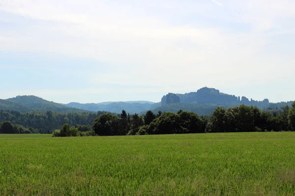 Łąka Lasem Górami Łaby Piaskowcowe Góry Szwajcaria Saska — Zdjęcie stockowe