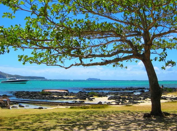 Hermosa Vista Del Paisaje Marino — Foto de Stock