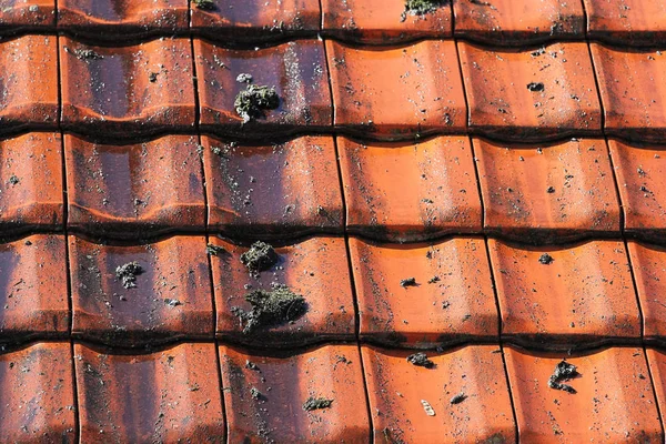 Yüksek Basınçlı Temizleyicilerle Çatı Temizliği — Stok fotoğraf
