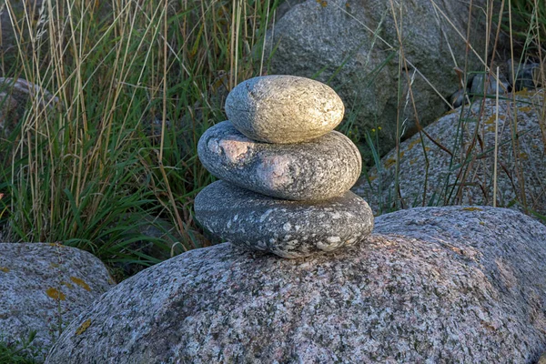 Entspannung Naturstrand Mit Steinen Und Pflanzen — Fotografia de Stock