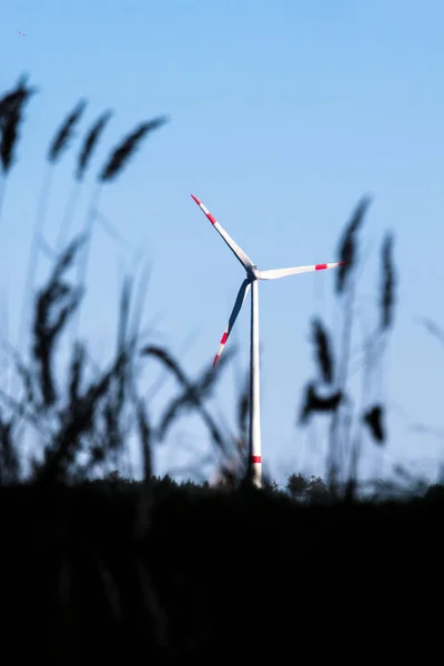Energy Production Wind Turbine Wind Power — Stock Photo, Image