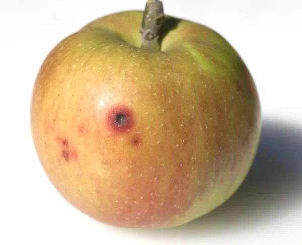 Čerstvé Zralé Jablka Zdravé Stravování — Stock fotografie