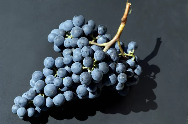 Dornfelder Rotwein Rote Weintrauben — Fotografia de Stock