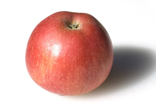 Äpple Malus Domestica — Stockfoto