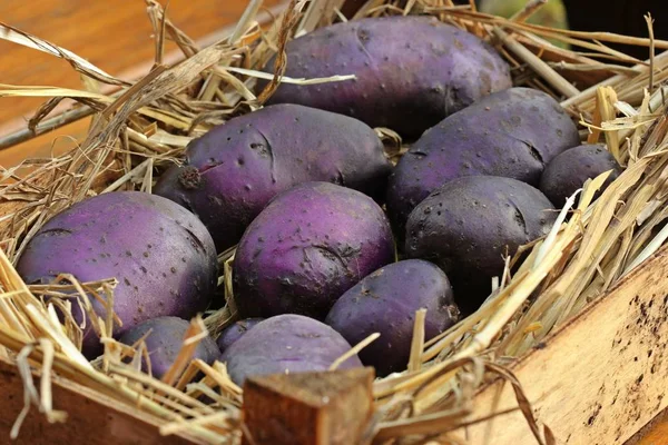 Légumes Concept Alimentaire Pommes Terre — Photo