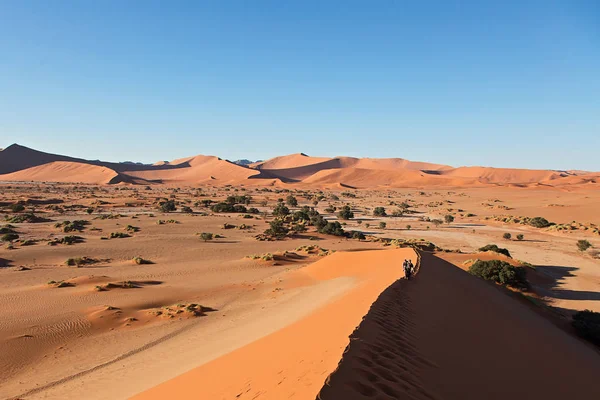 Sossusvlei Situé Dans Partie Sud Désert Namib — Photo