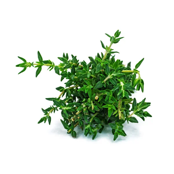 Thyme Close Fresh Herbs White Background - Stock-foto