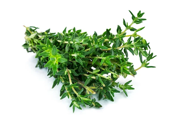 Thyme Close Fresh Herbs White Background — Stock Photo, Image