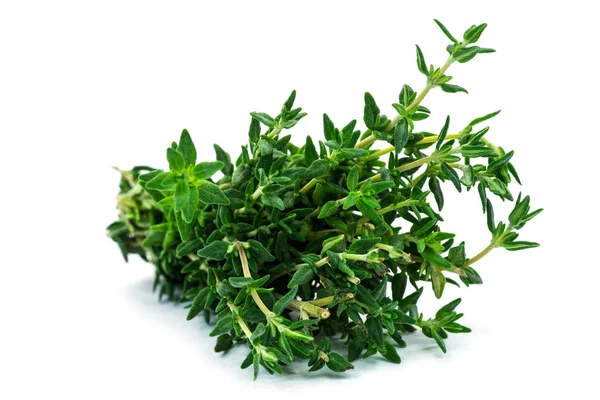 Thyme Close Fresh Herbs White Background — Stock Photo, Image