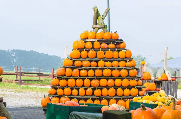 Farmers Market Decorative Pumpkins Stacked Pyramid Shape — Stock Photo, Image