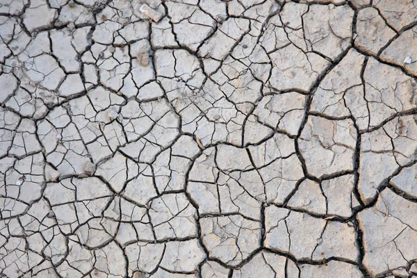Текстура Сухой Трещины Почвы — стоковое фото