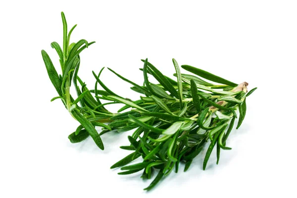 Green Rosemary Herbal Plant Flora — Stock Photo, Image