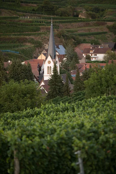 Вид Церкву Святого Хреста Долини Чеської Республіки — стокове фото