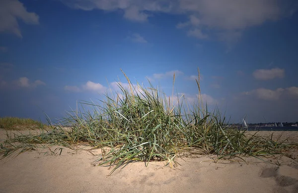 Scenic View Dunes Selective Focus — Stock Photo, Image