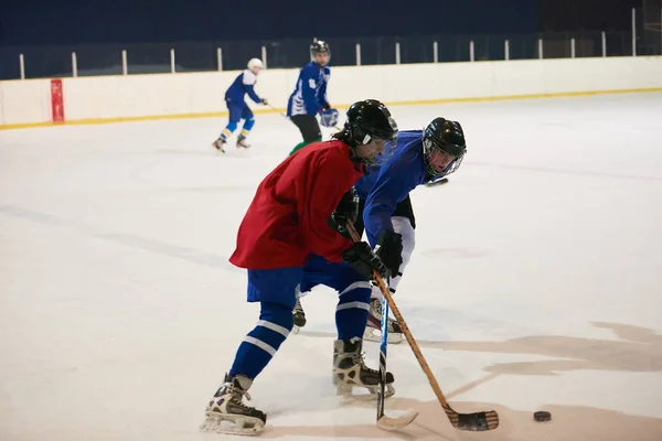 Ijshockeysport Spelers Actie Business Comptetition Concpet — Stockfoto