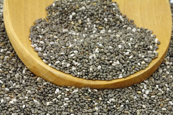 Chia Seeds Sage Mexico — Stock Photo, Image