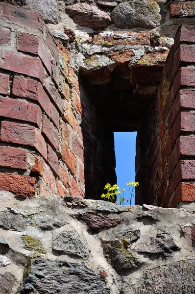 Die Stadtmauer Von Templin — Stock Photo, Image