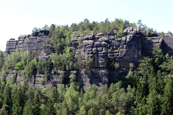 Formación Rocas Con Árboles Montañas Piedra Arenisca Elbe Tierra Cambio — Foto de Stock