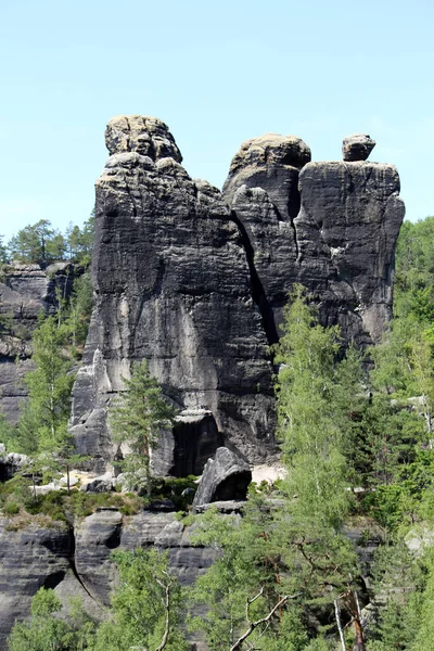 Formação Rocha Com Árvores Montanhas Arenito Elba Saxon Switzerland — Fotografia de Stock